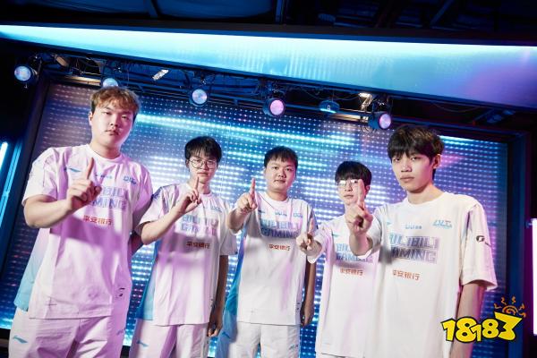 仅提升了纪 仅提升了纪