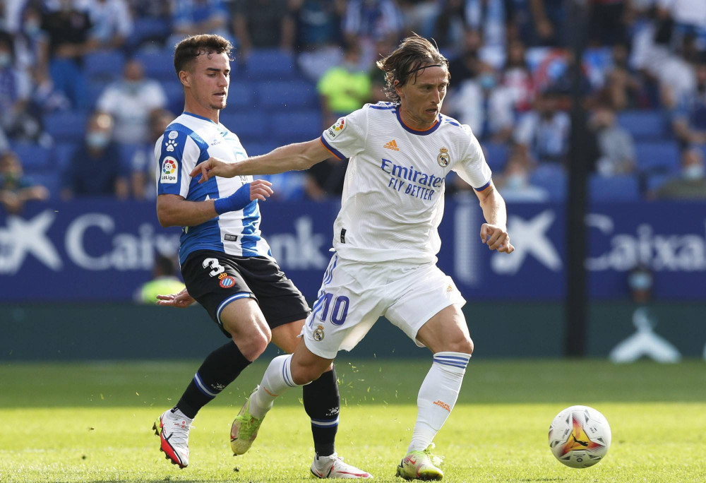 一个稳定的 一个稳定的