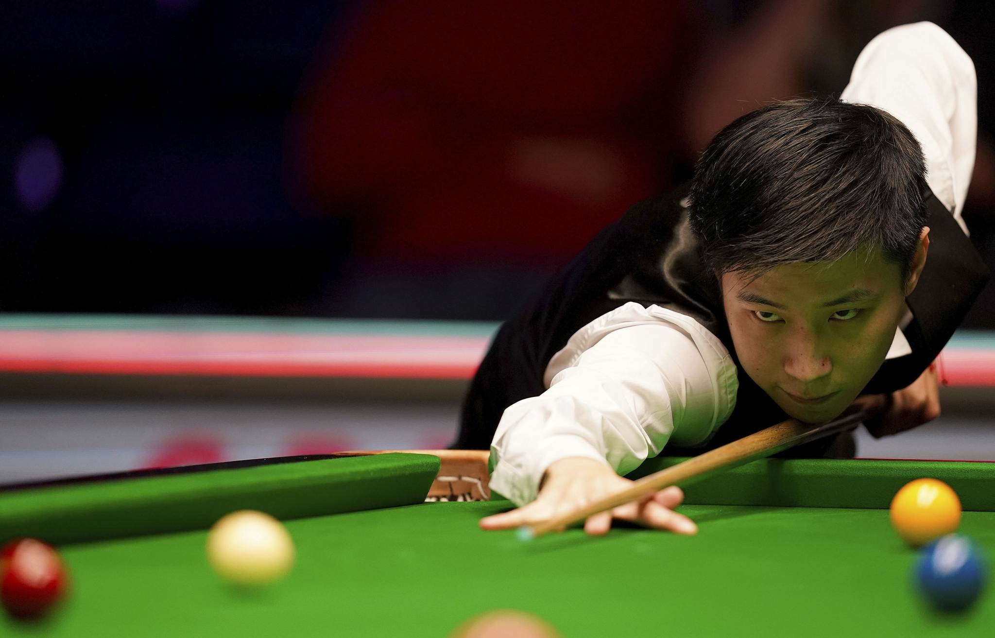 都能成为理 都能成为理