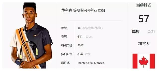 加纯粹